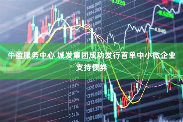 牛盈服务中心 城发集团成功发行首单中小微企业支持债券